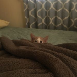 Meet your Posher, Vanessa